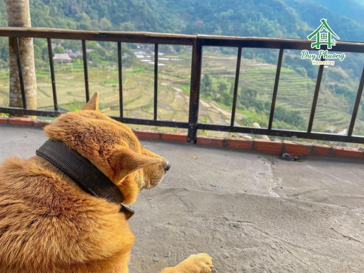 Pu Luong - Duy Phuong Homestay Thanh Hóa 외부 사진