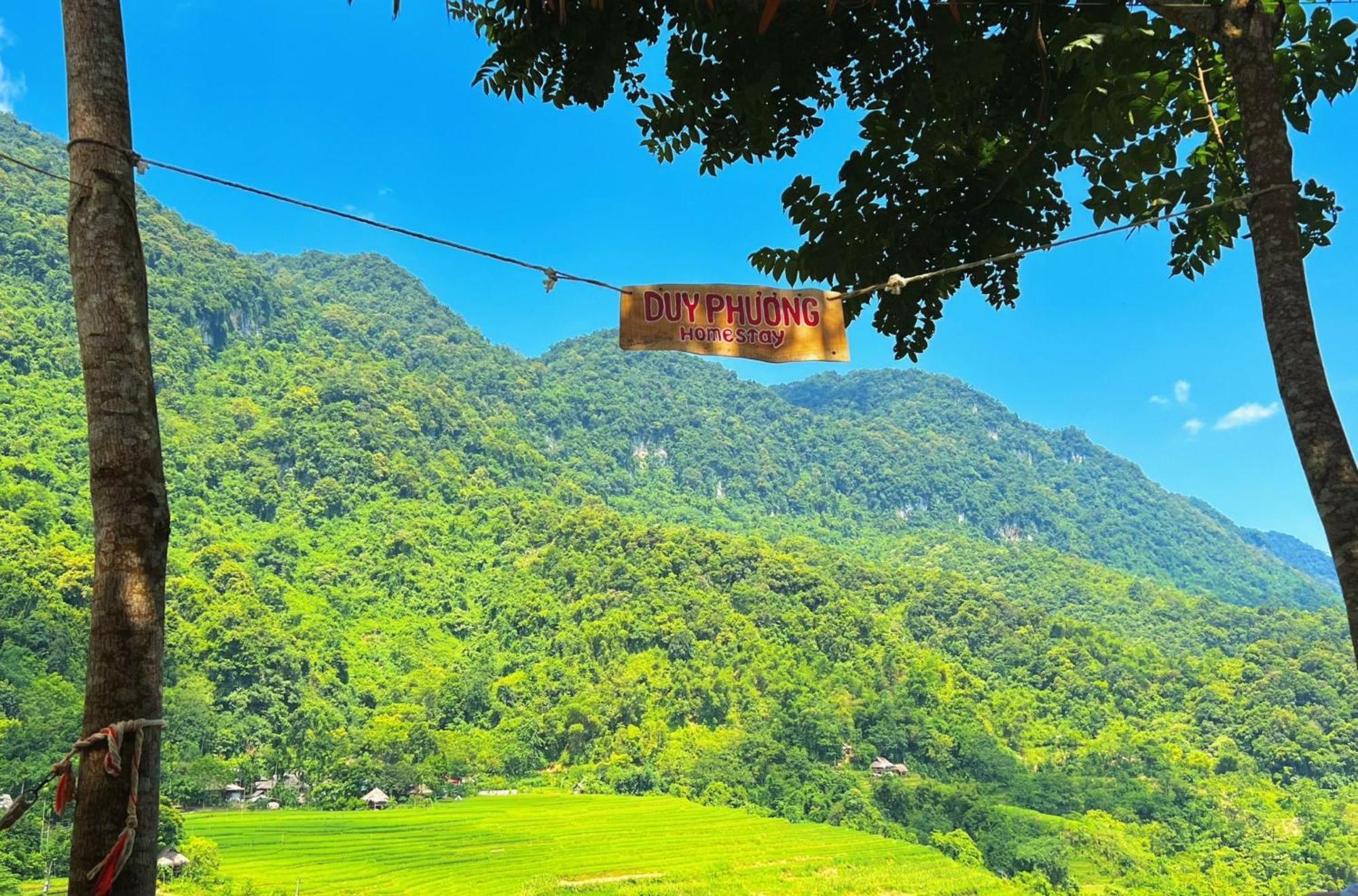 Pu Luong - Duy Phuong Homestay Thanh Hóa 외부 사진